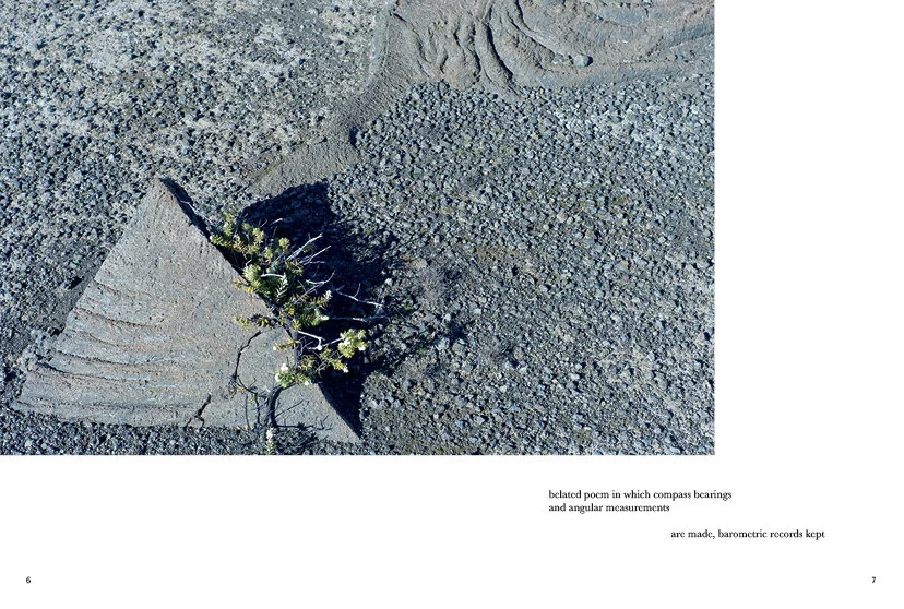 Introducing BELATED POEM by Heidi Van Horn