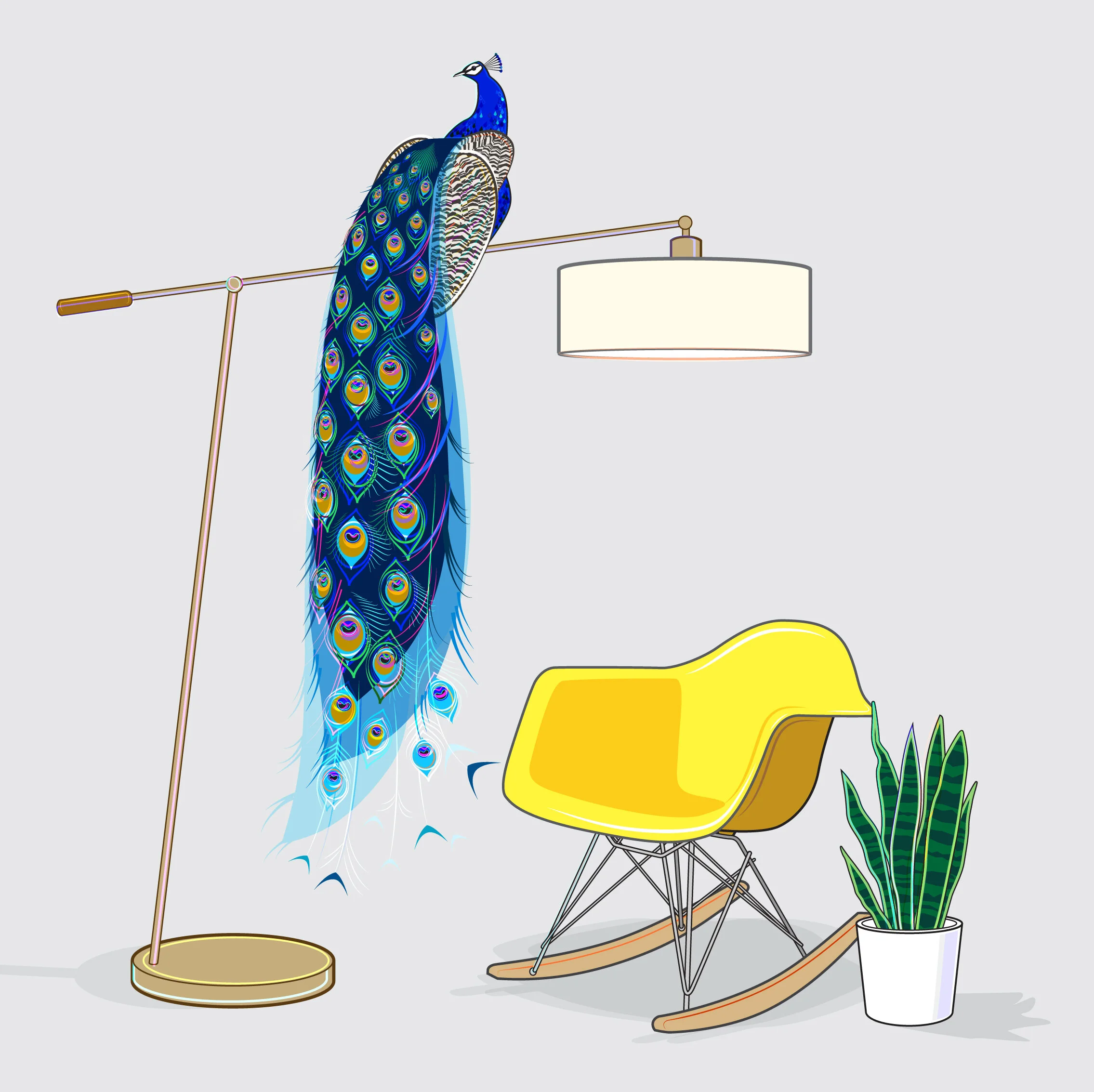 Peacock-18.jpg
