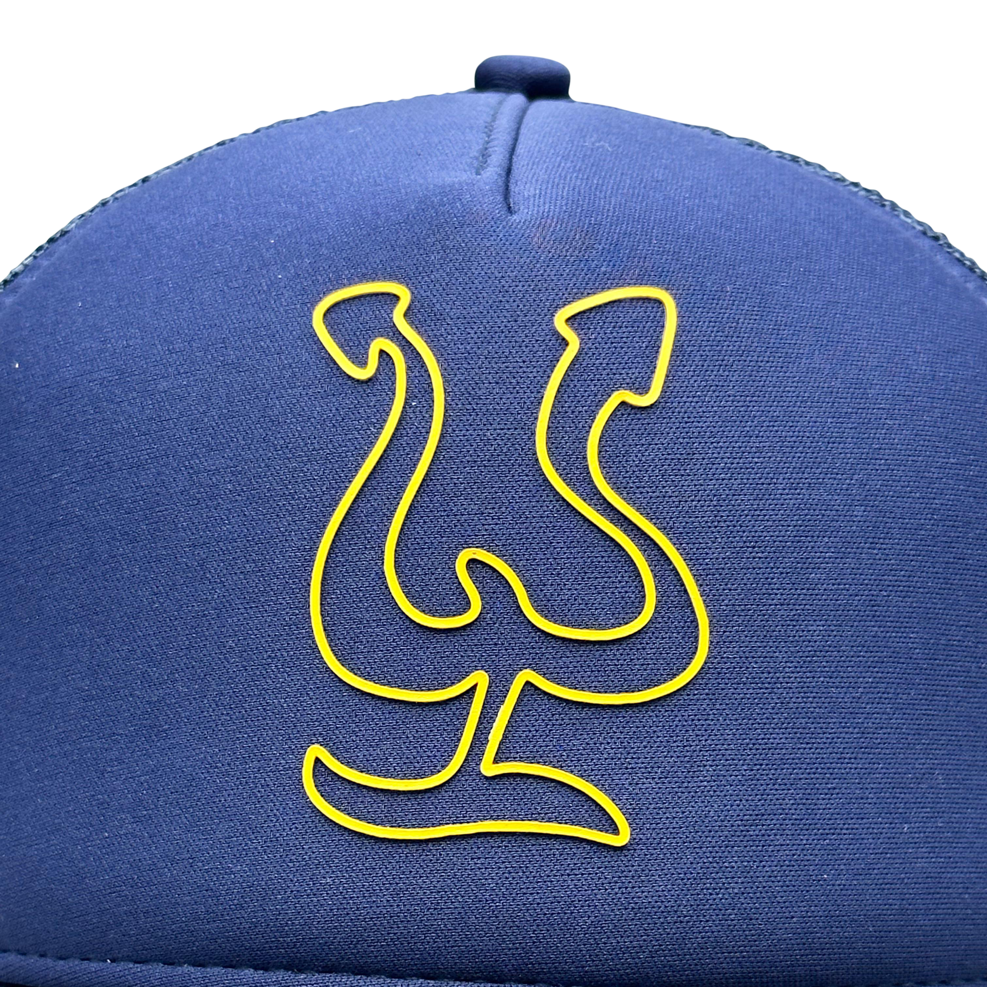 2023_Blue_yellow_gorra4.png