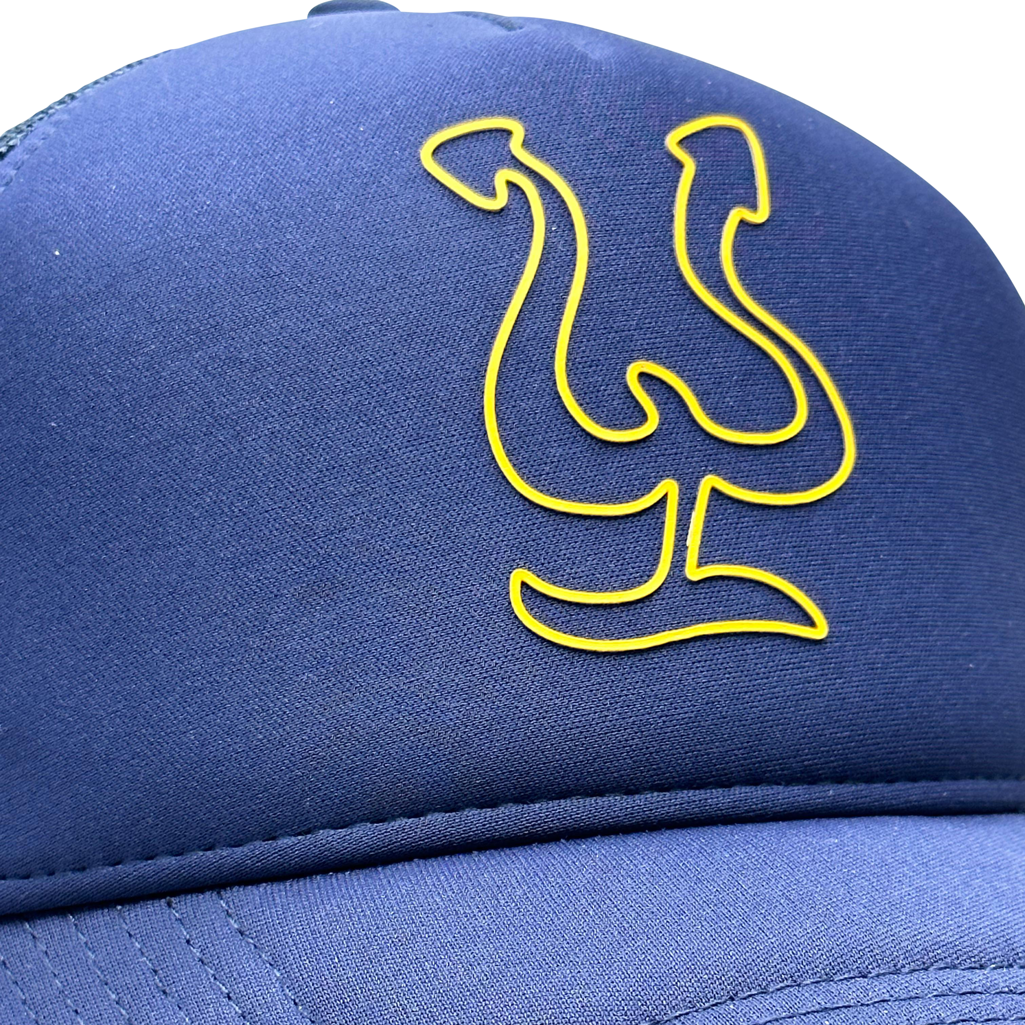 2023_Blue_yellow_gorra3.png