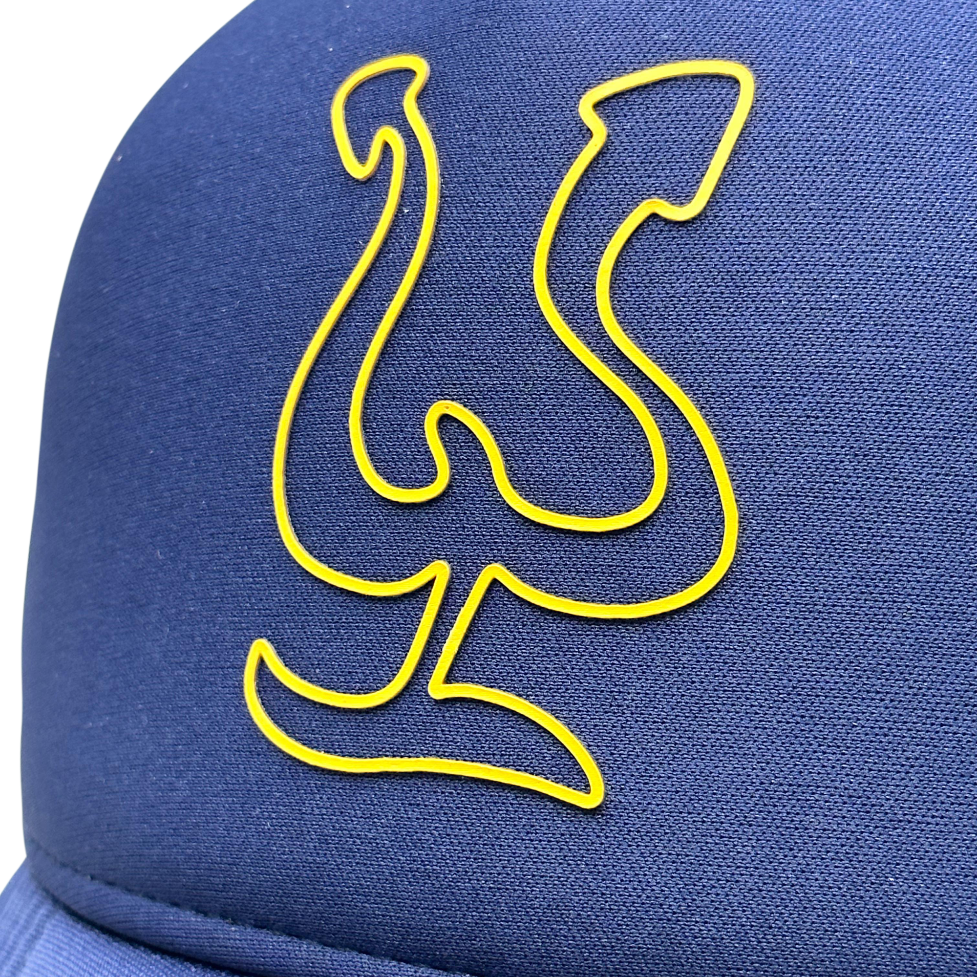 2023_Blue_yellow_gorra5.png
