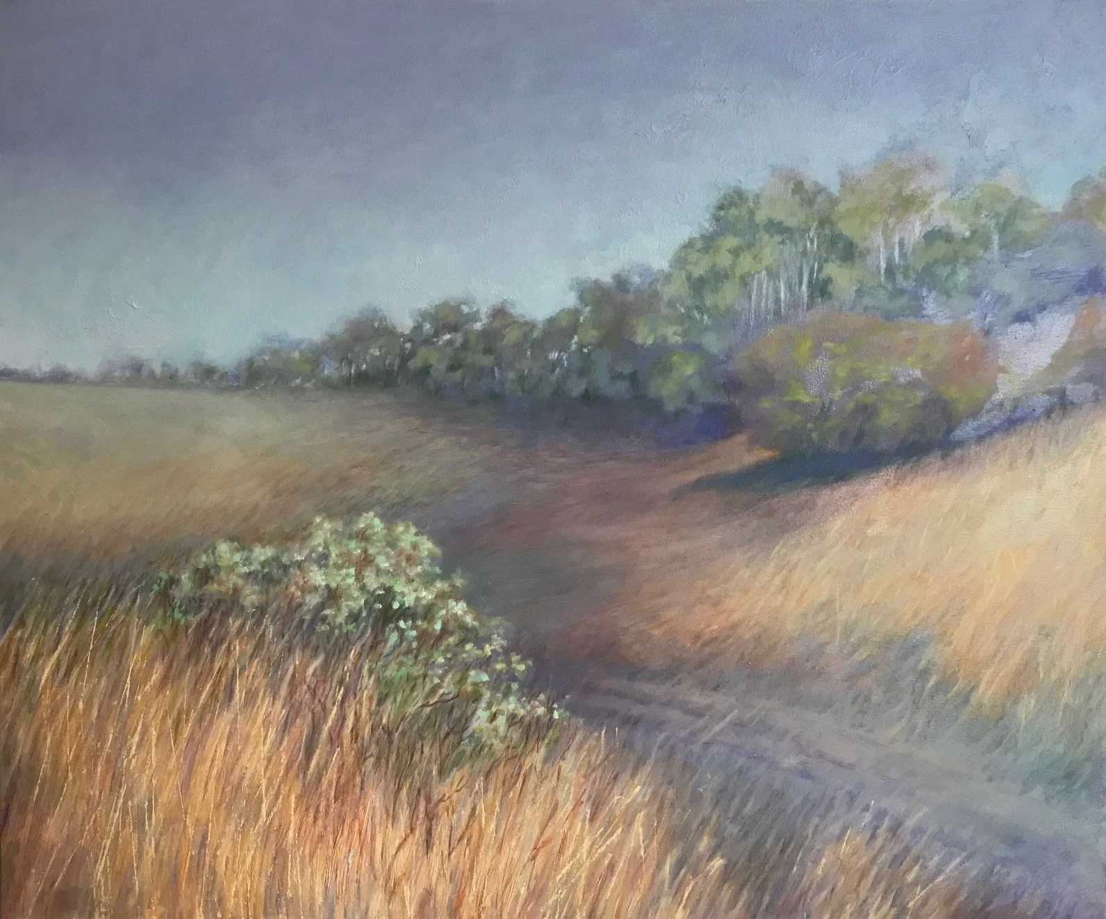 Dusk in the Field, 30 x 36, Oil