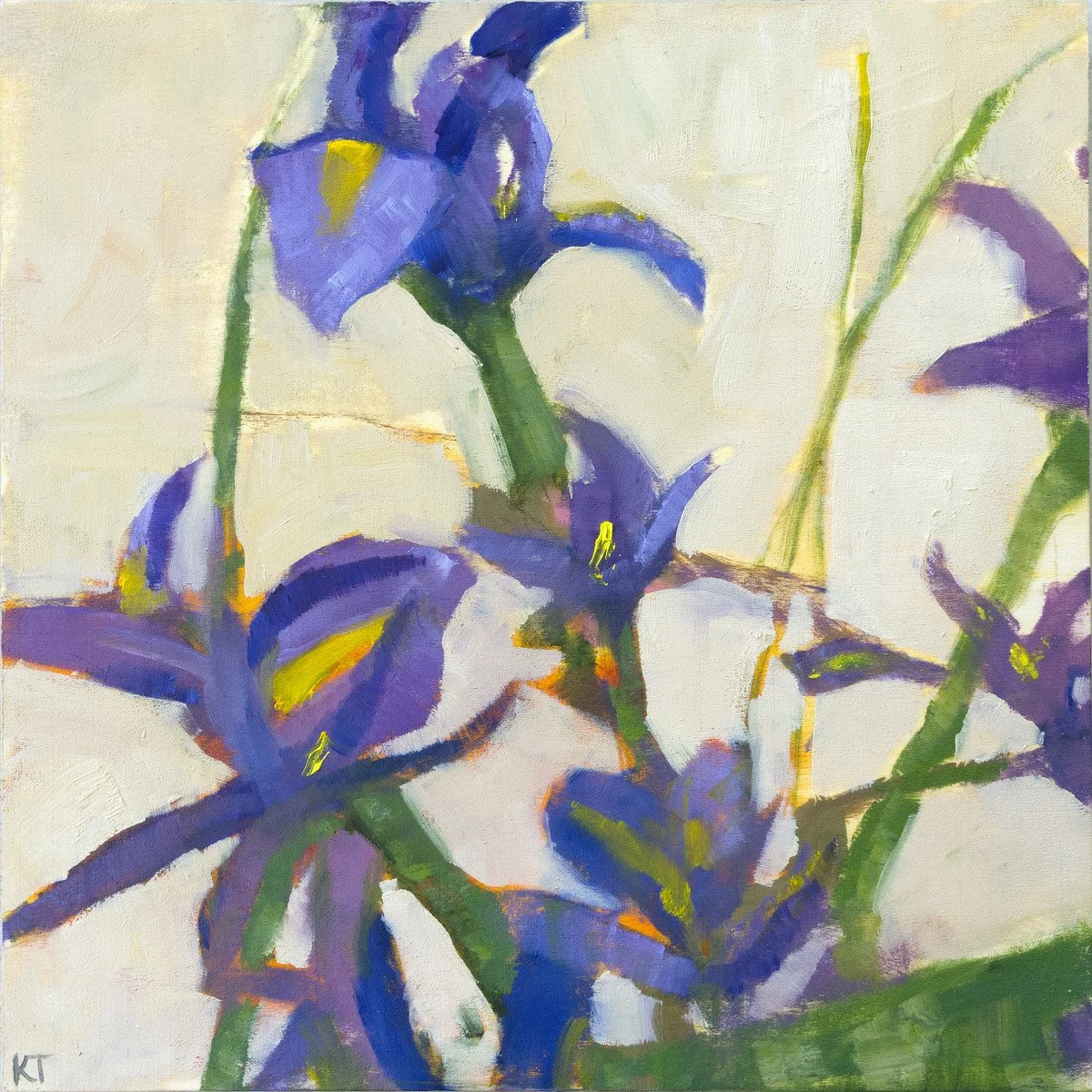 Daffodil Study, 10 x 10 Oil