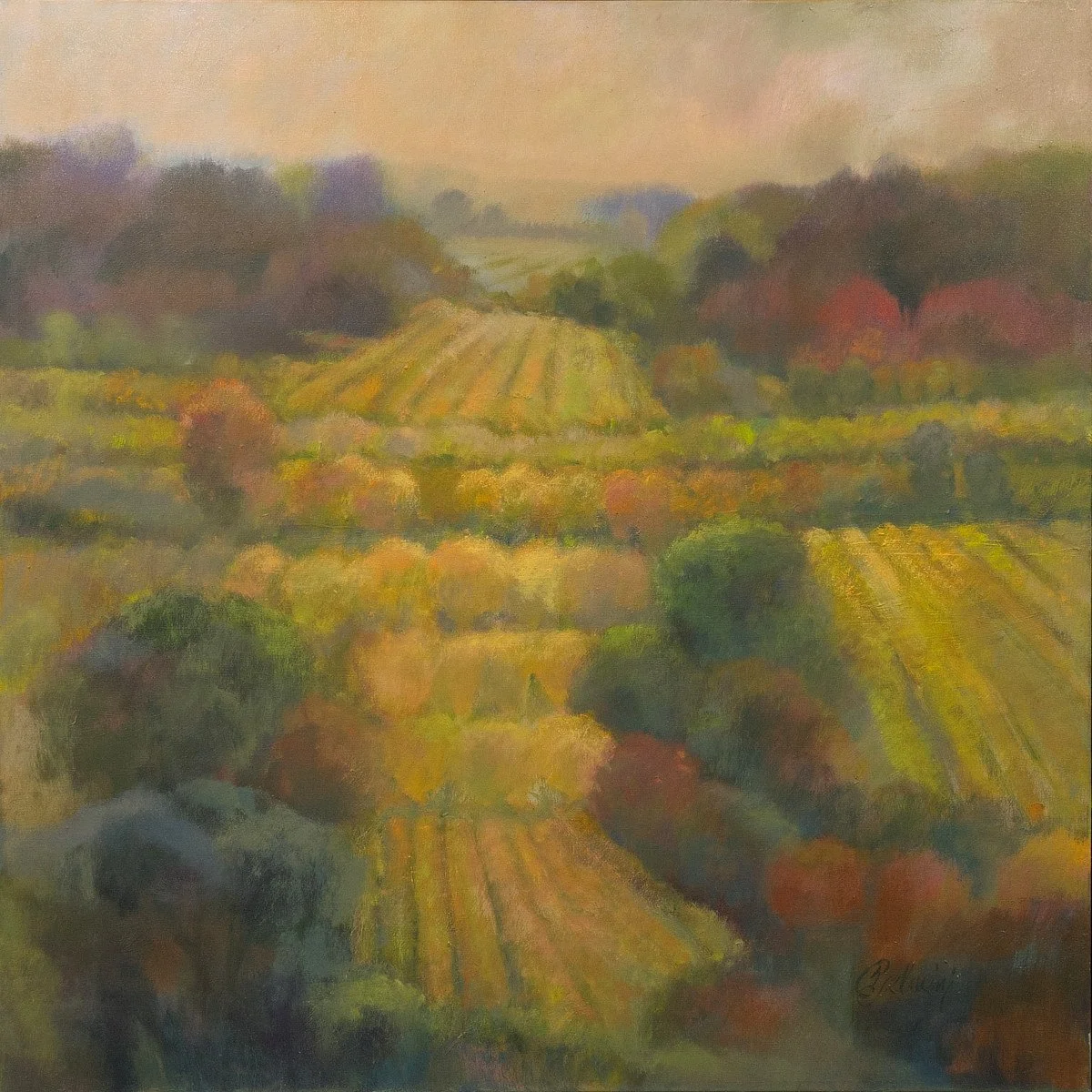 Quiet Dawn, Oil 36 x 36