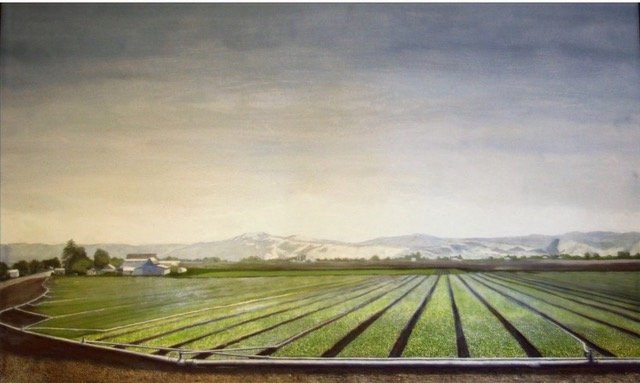 Field of Greens