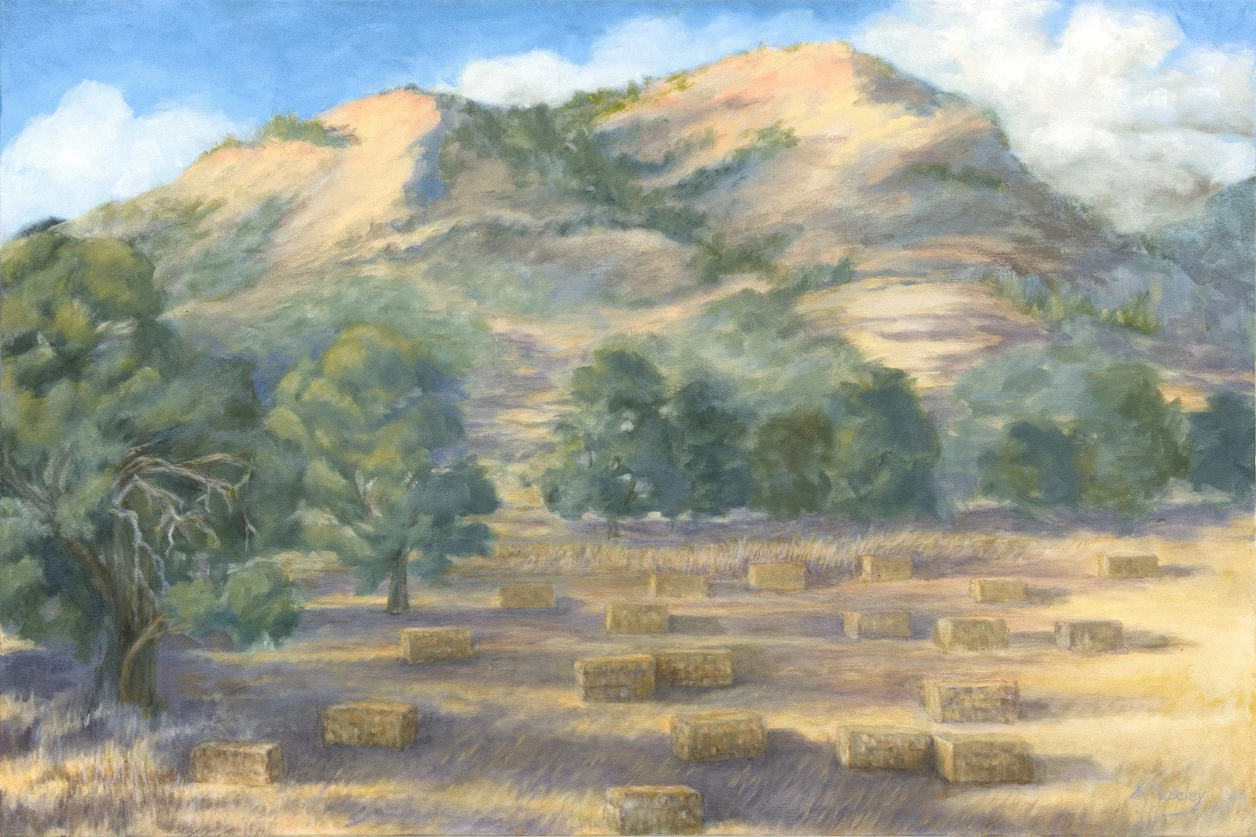 Hays Bailed, 24 x 36 Oil