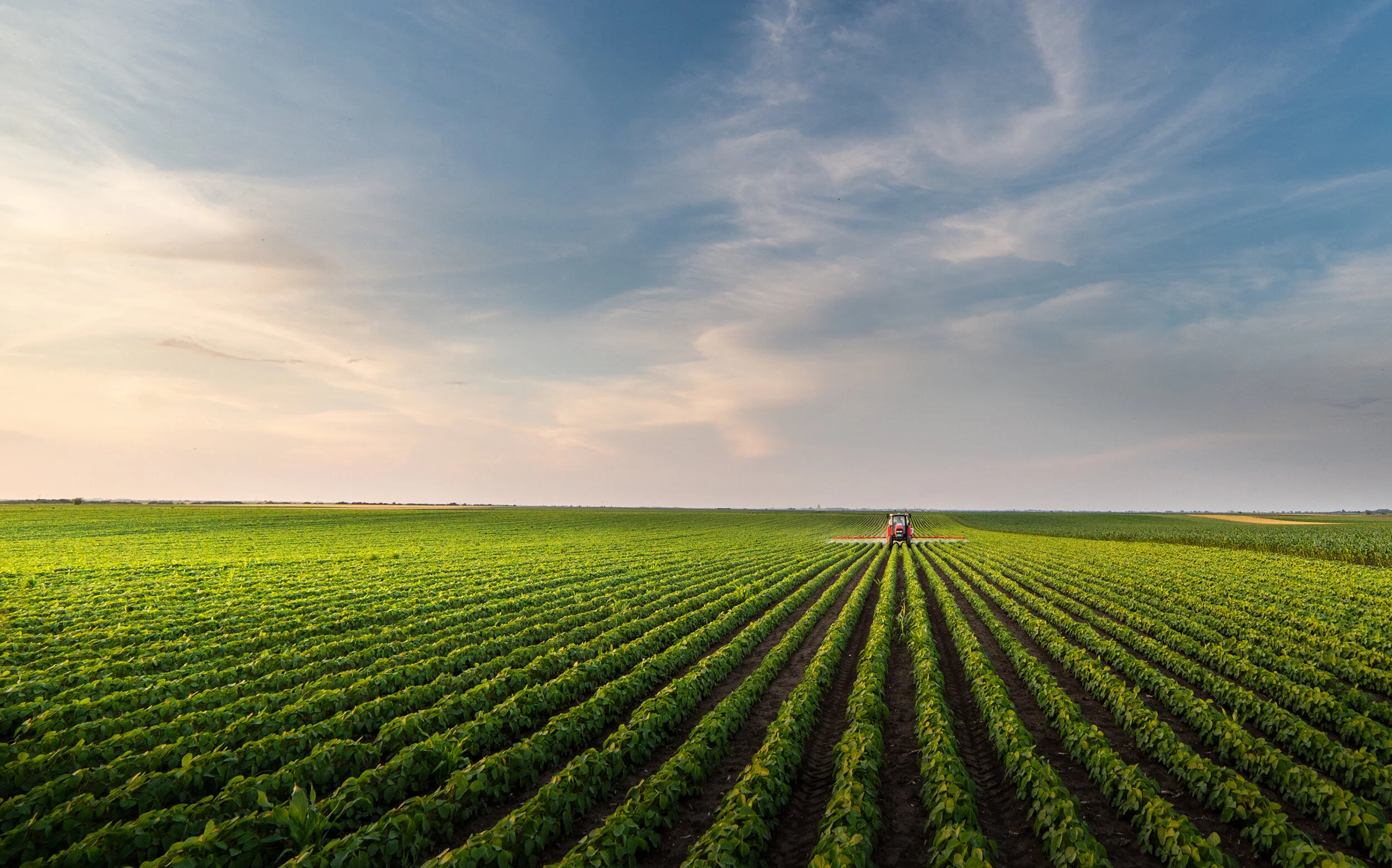 AdobeStock_303214121.jpeg