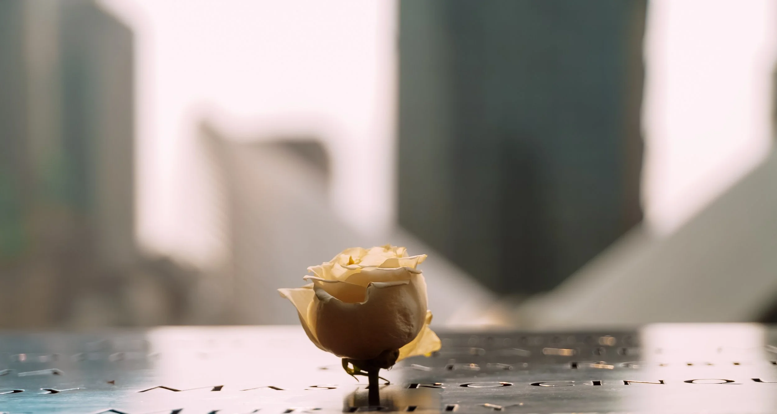 FX6 CAM A0061.MXF.09_56_27_01.Still001.jpg