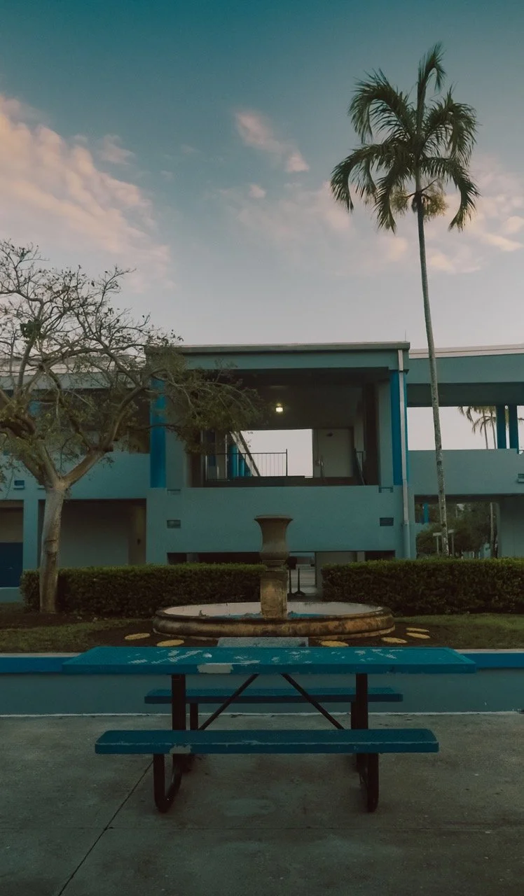 C0006.MP4.23_30_59_14.Still001 Large.jpeg