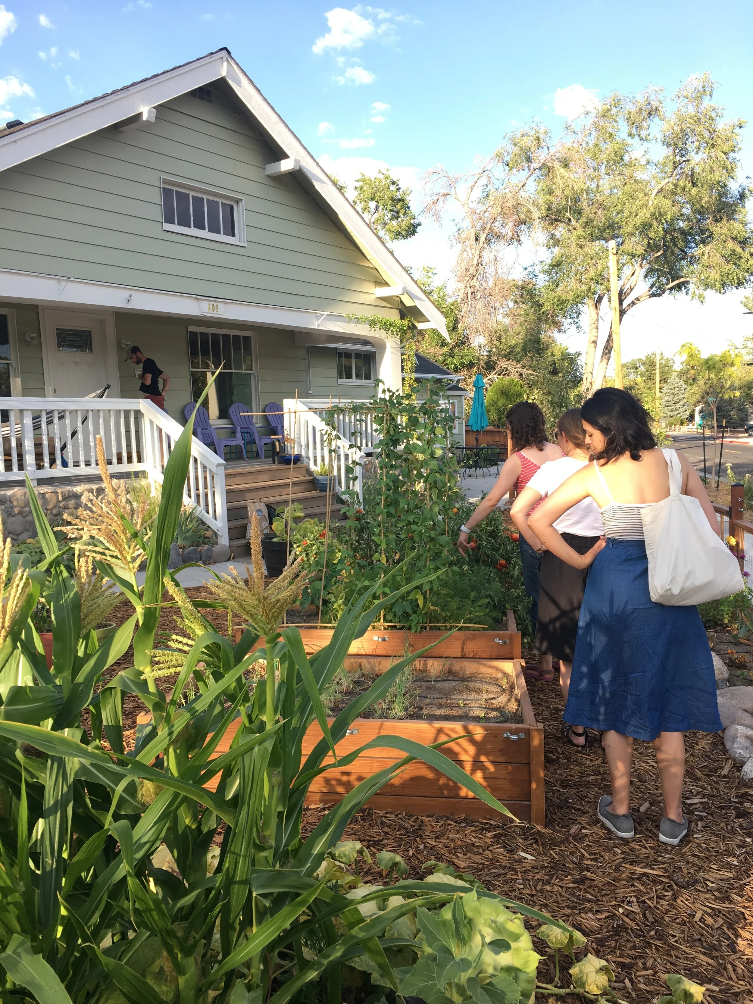 Inspecting Brianna's veggie garden, summer 2016