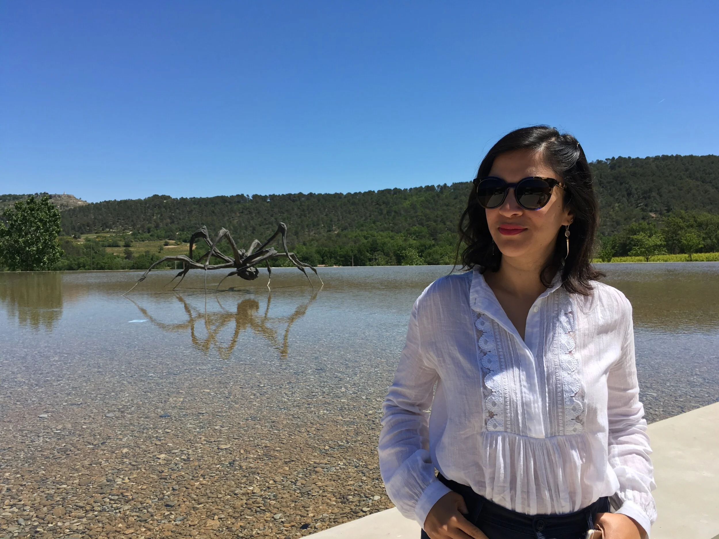 Provence France 5-2016.jpeg