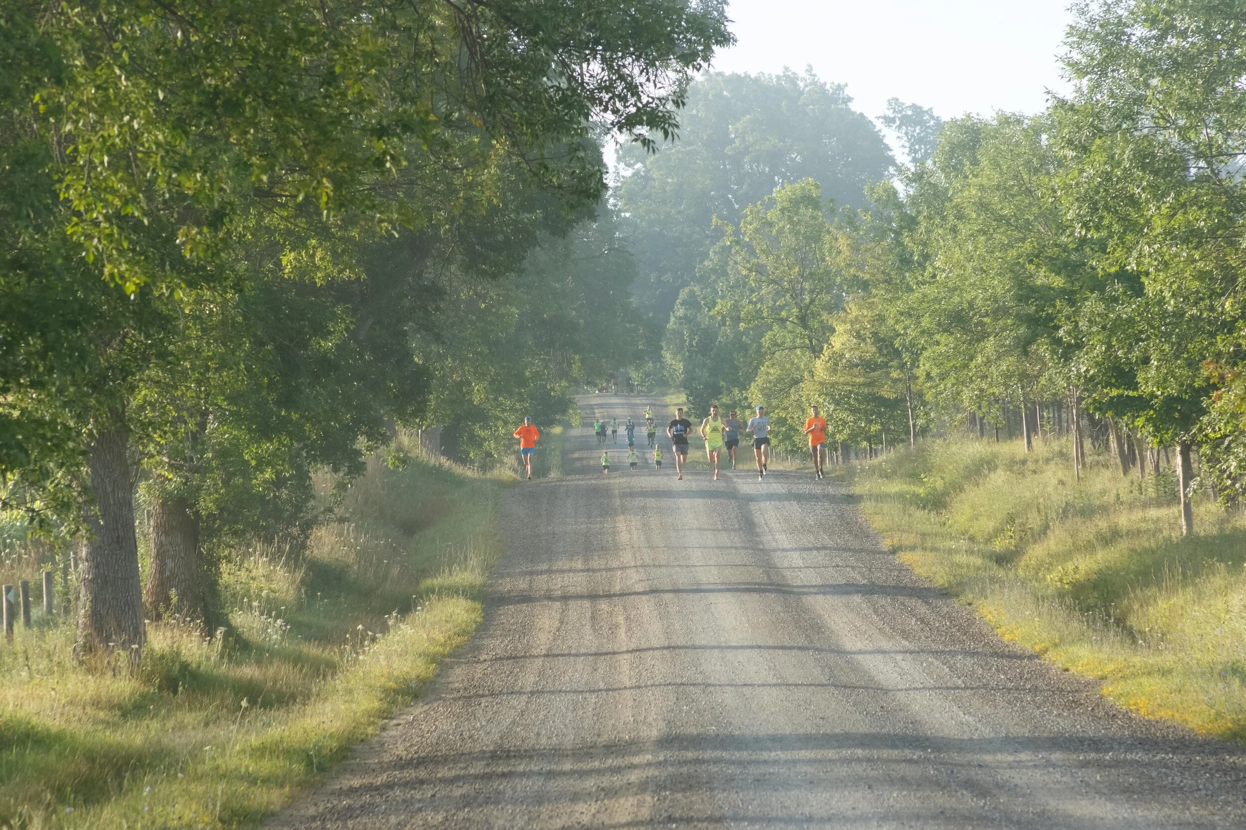 Oak tree lanes coupon