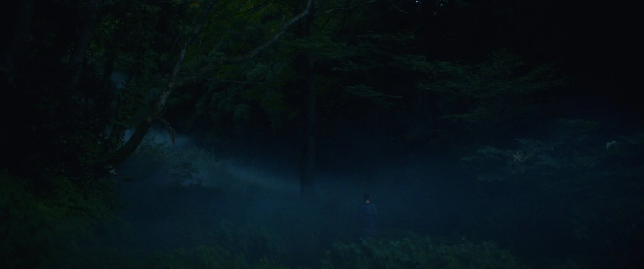A dark, misty forest scene with a small figure standing near what appears to be water, surrounded by dense trees and foliage.