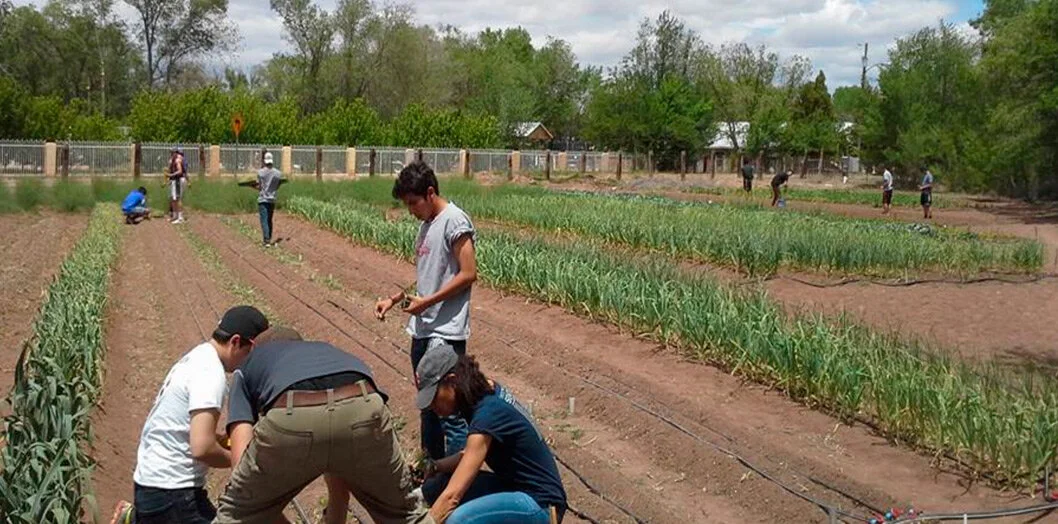 Speakeasy Gardens — AgriCultura Network