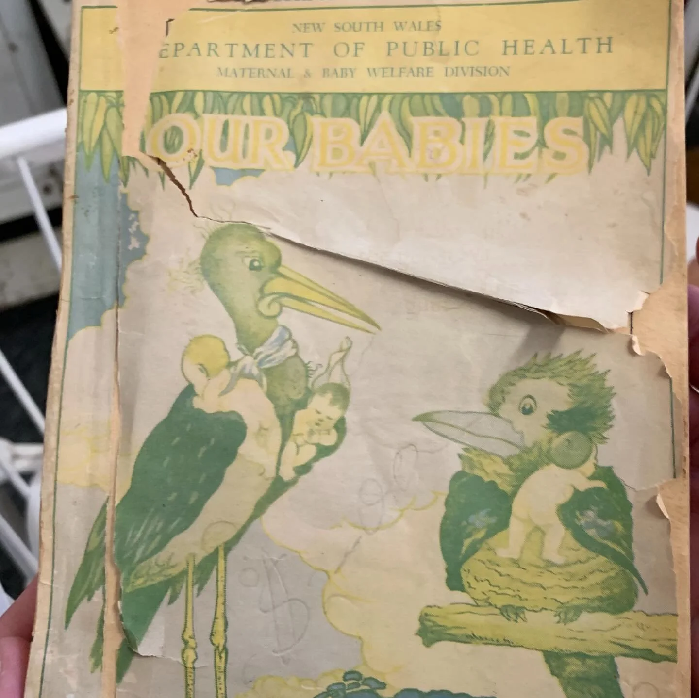 1931 breastfeeding advice was WILD! A lot of it was great, but some was absolutely awful, like toughing up your nipples during pregnancy with toothbrushes, strict feeding schedules, no overnight feeds from 2 weeks, OJ supplements, weaning to be done 