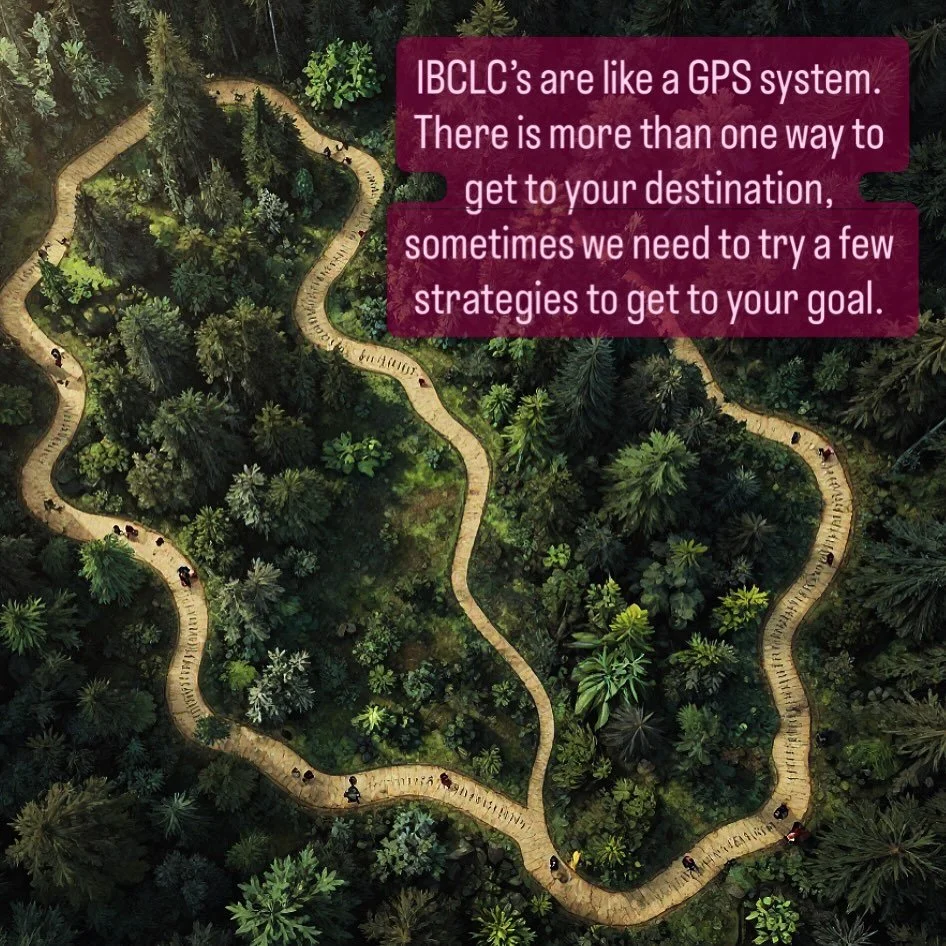 We always have plan a,b or c. Part of what we do is work out what is possible for your family and we are ready to make changes to your plan at any time if it isn&rsquo;t working or your mental health needs us to pivot. Your breastfeeding goals are yo