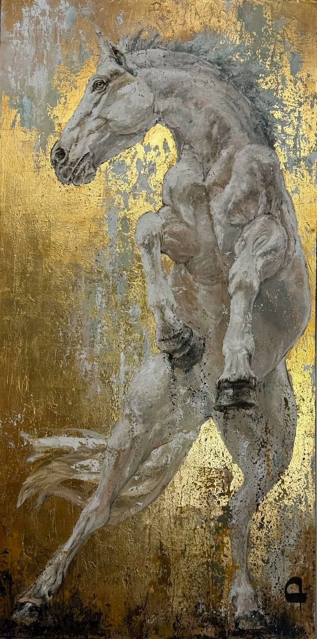 FREEDOM 5.0 | 36"x72" | 2026| 9100,00