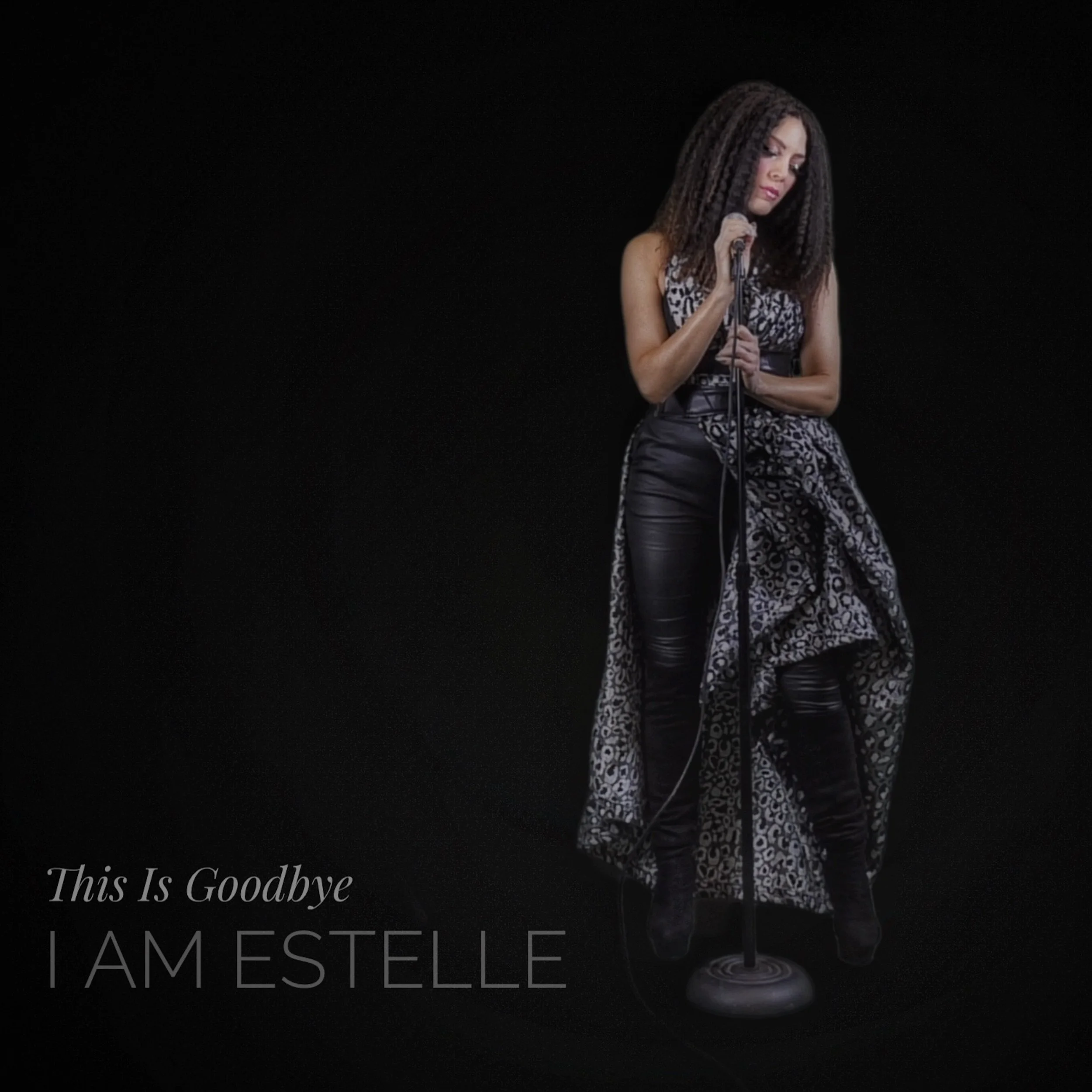 This is goodbye CD cover final 2.JPG