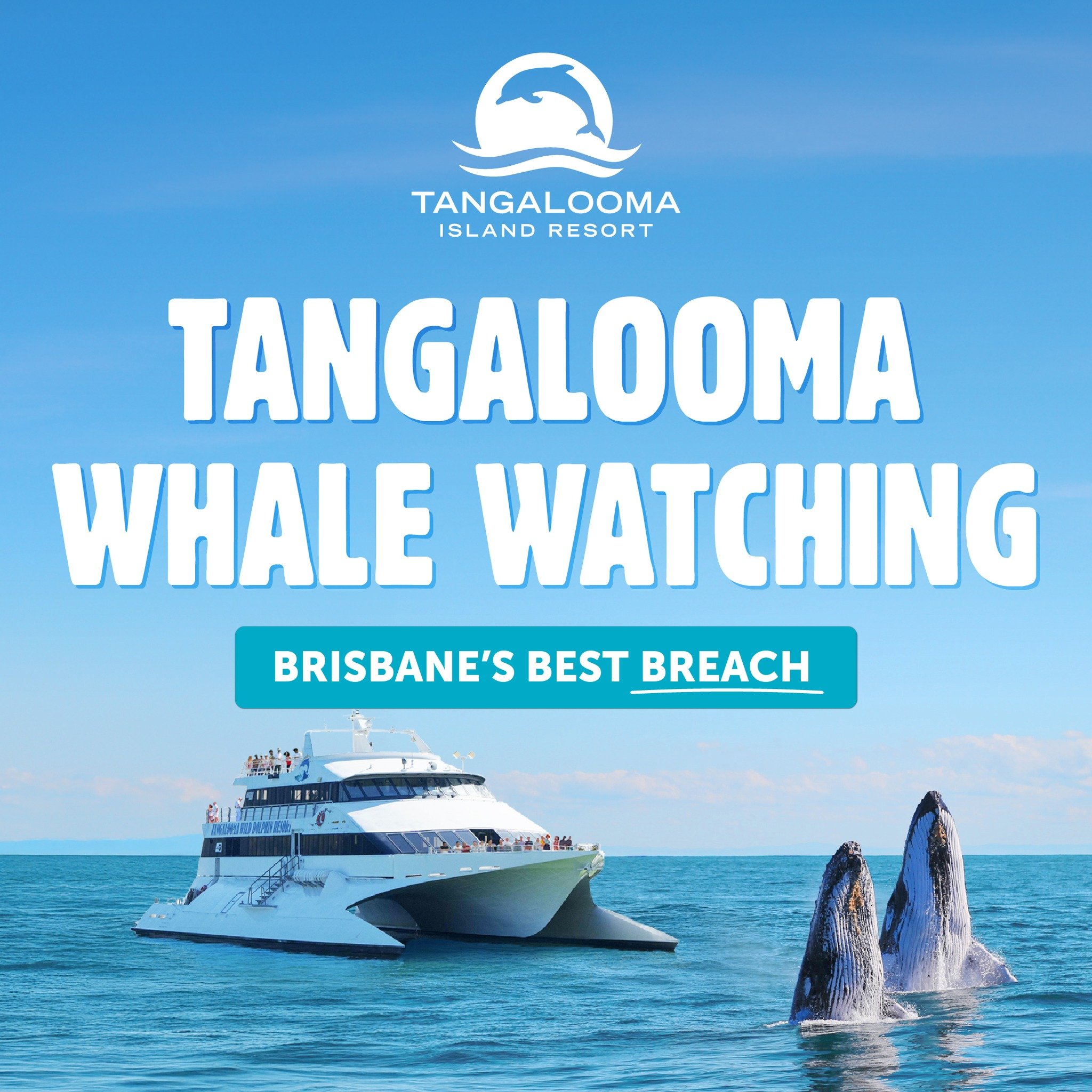Whale, hello there! 🐋 Tangalooma Whale Watching season kicks off this Saturday, bringing you Brisbane's Best Breach! Don't miss out &ndash; use your exclusive GPS discount code for a whaley fintastic encounter!
@tangaloomaislandresort  #Tangalooma #