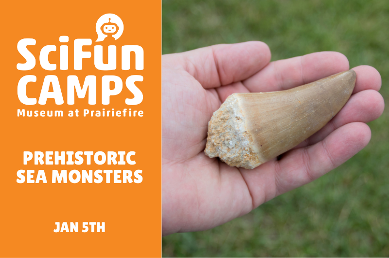 SciFun Camp: Prehistoric Sea Monsters