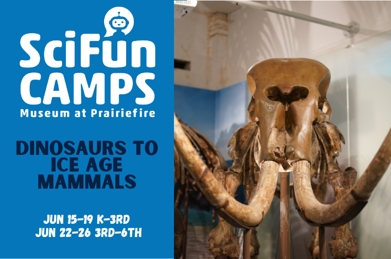 SciFun Summer Camp: Dinosaurs to Ice Age Mammals