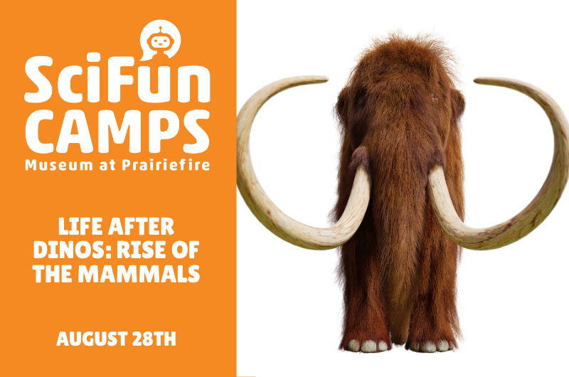 SciFun Camp: Life After Dinos and the Rise of Mammals