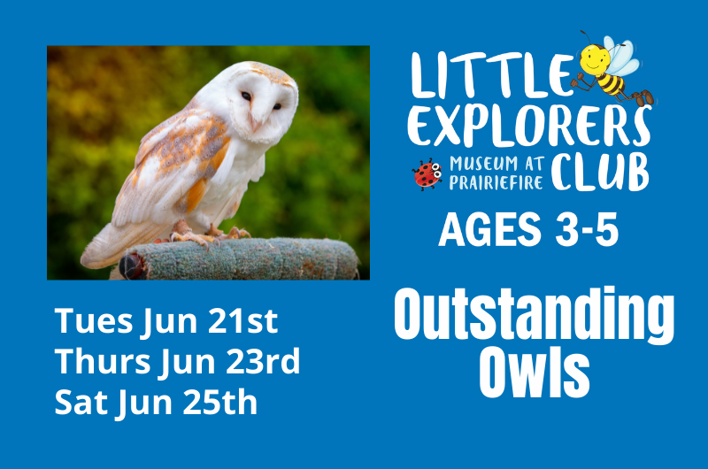Little Explorer's Club + Outstanding Owls — Museum at Prairiefire