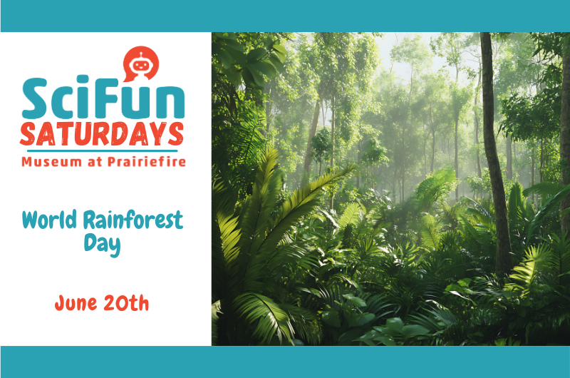 SciFun Saturday: World Rainforest Day