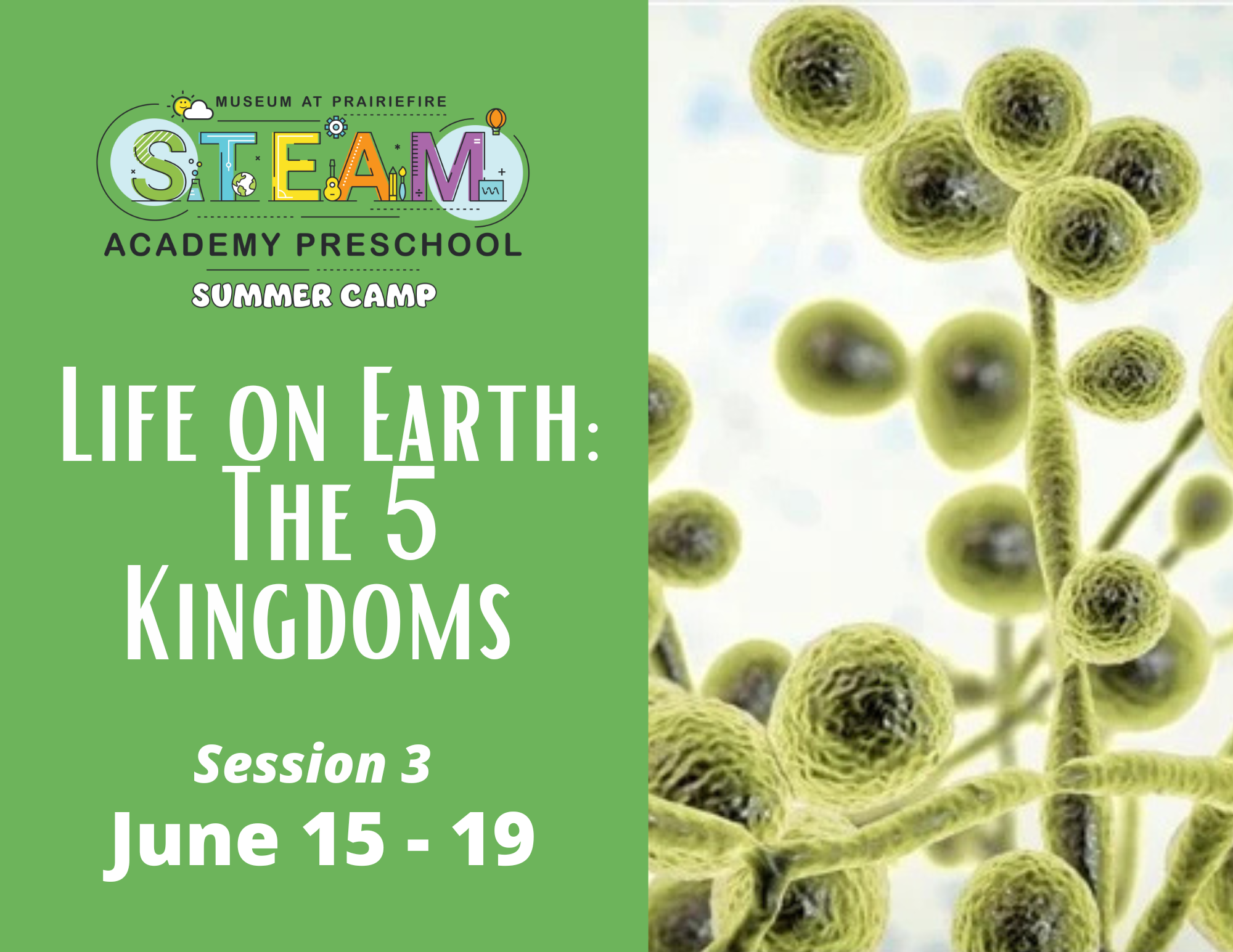 STEAM Summer Camp: Life on Earth-The 5 Kingdoms