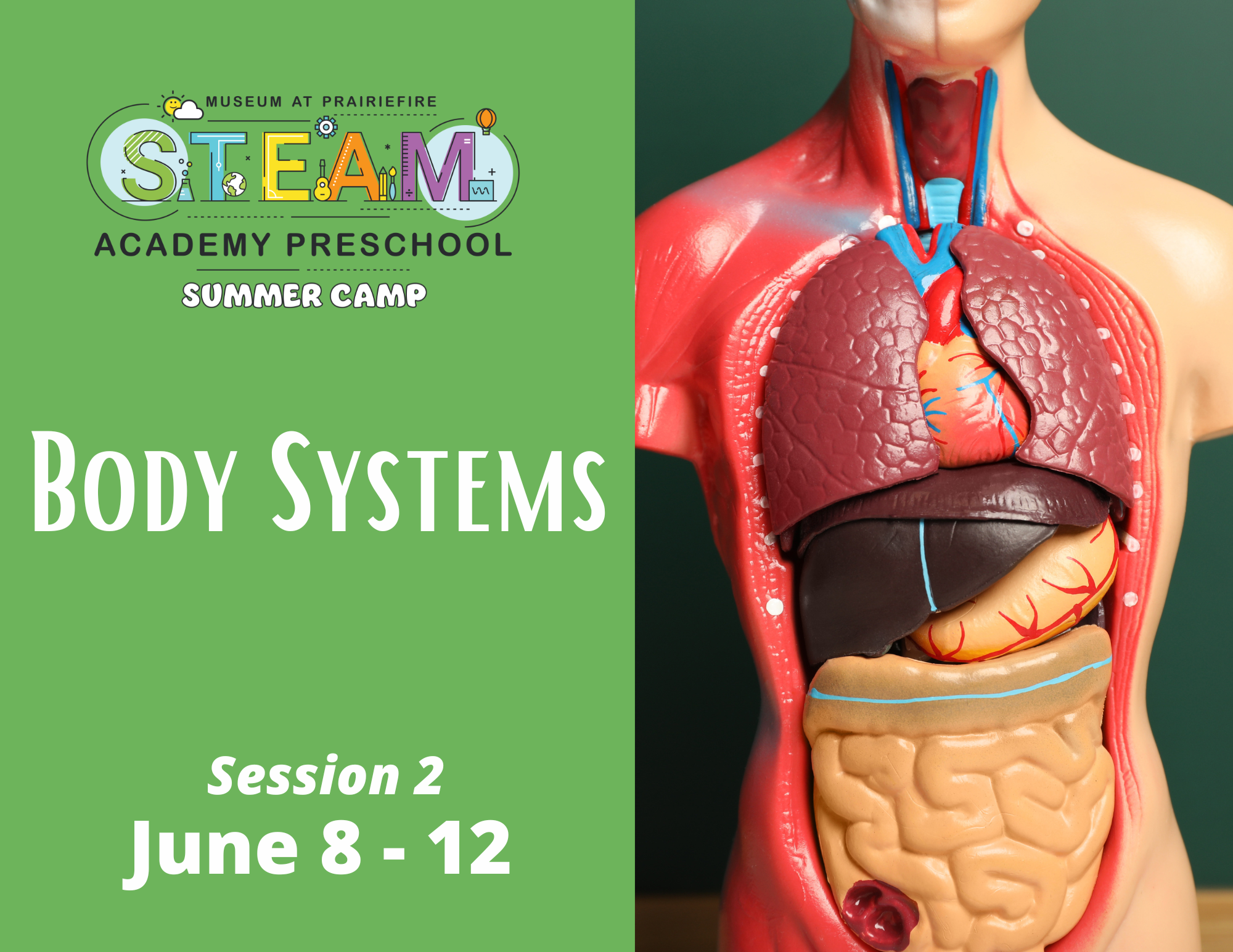 STEAM Summer Camp: Body Systems