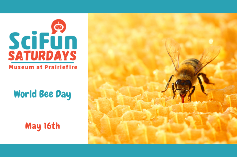 SciFun Saturday: World Bee Day