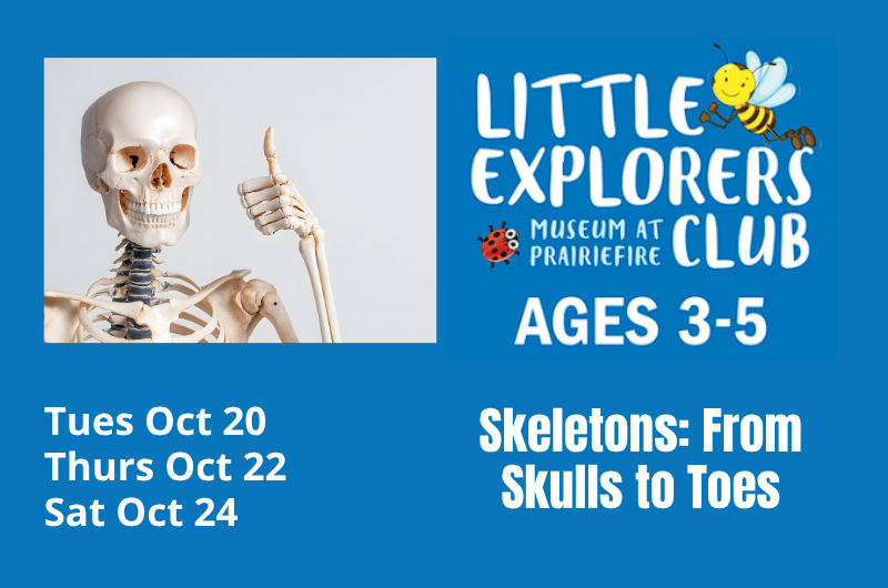 Little Explorers Club: Skeletons: From Skulls to Toes
