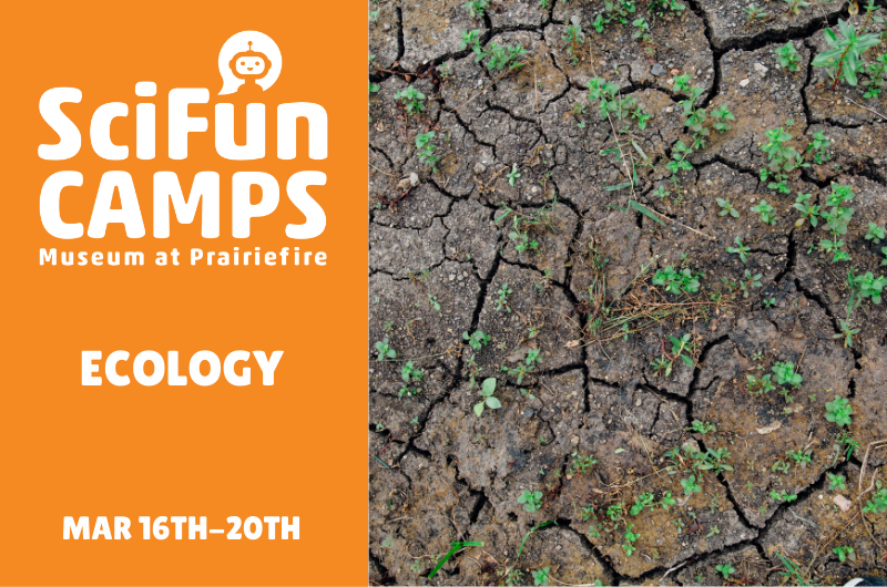 _SciFun Camps 2025-26 School Year (3).png