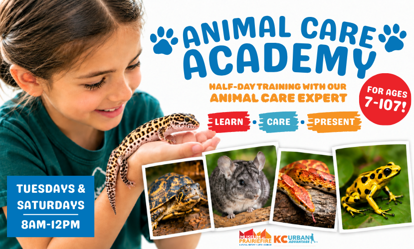 Animal Care Academy (2).png