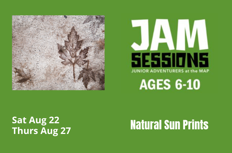 JAM Session: Natural Sun Prints