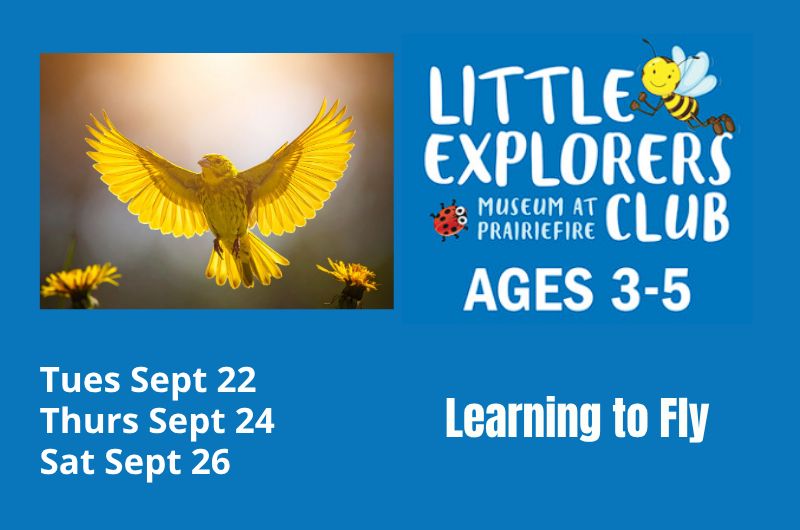 Little Explorers Club: Learning to Fly