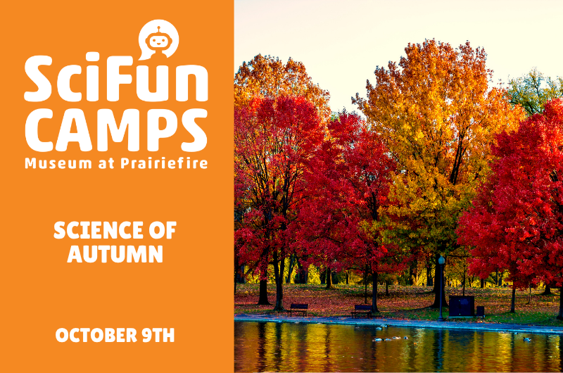 SciFun Camp: Science of Autumn