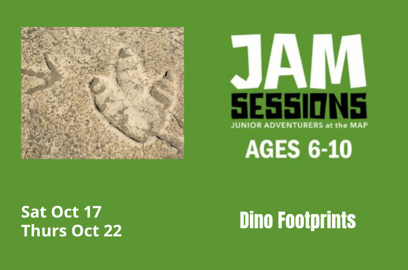 JAM Session: Dino Footprints