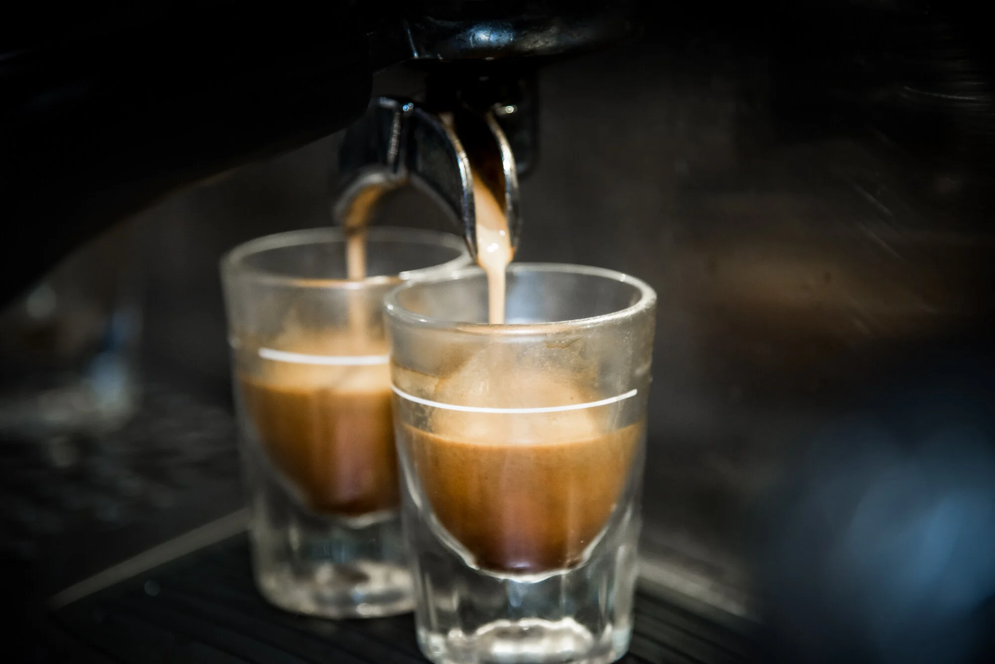 coffeeatthepoint_laurenmajorphoto-6.jpg