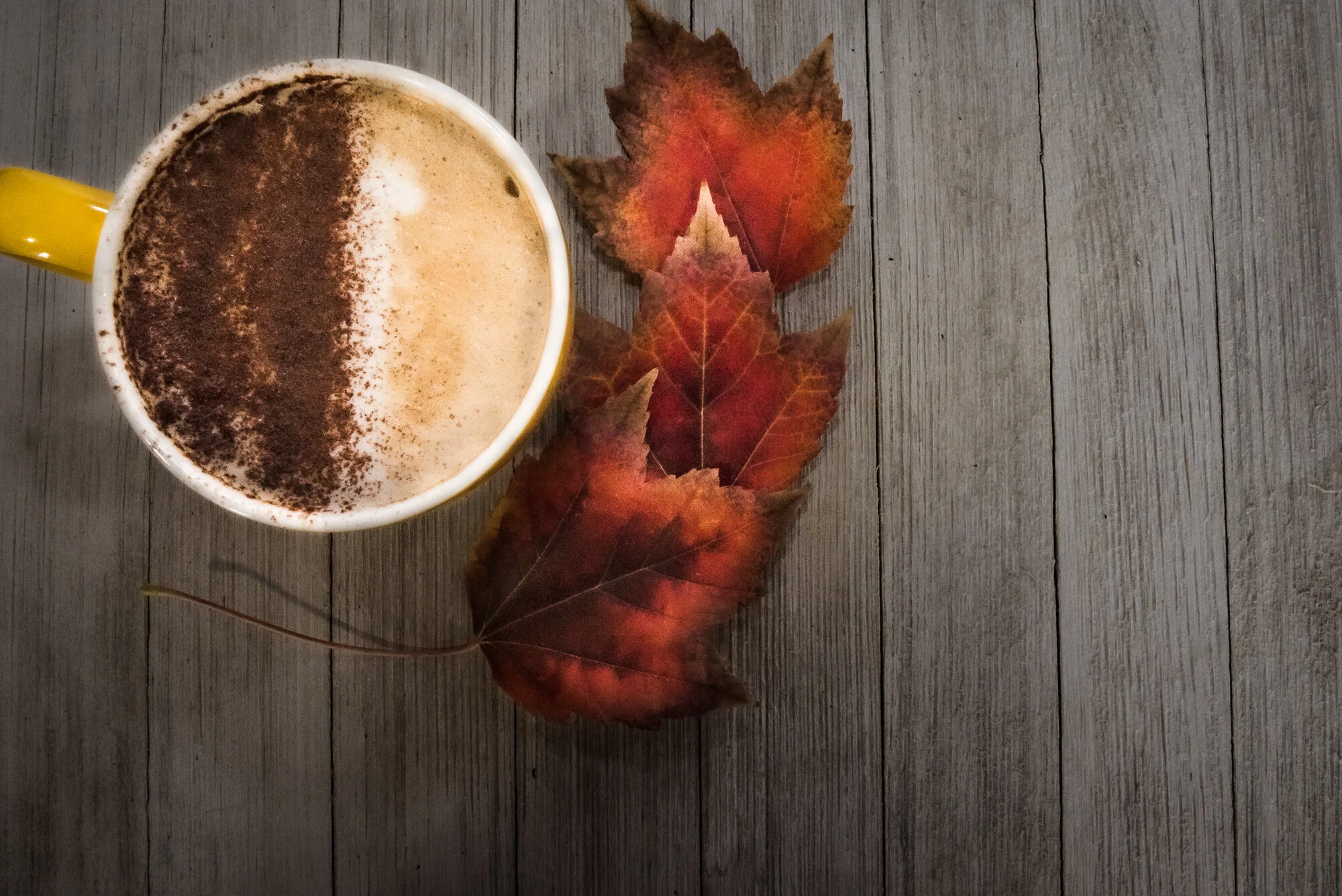 coffeeatthepoint_laurenmajorphoto-16.jpg