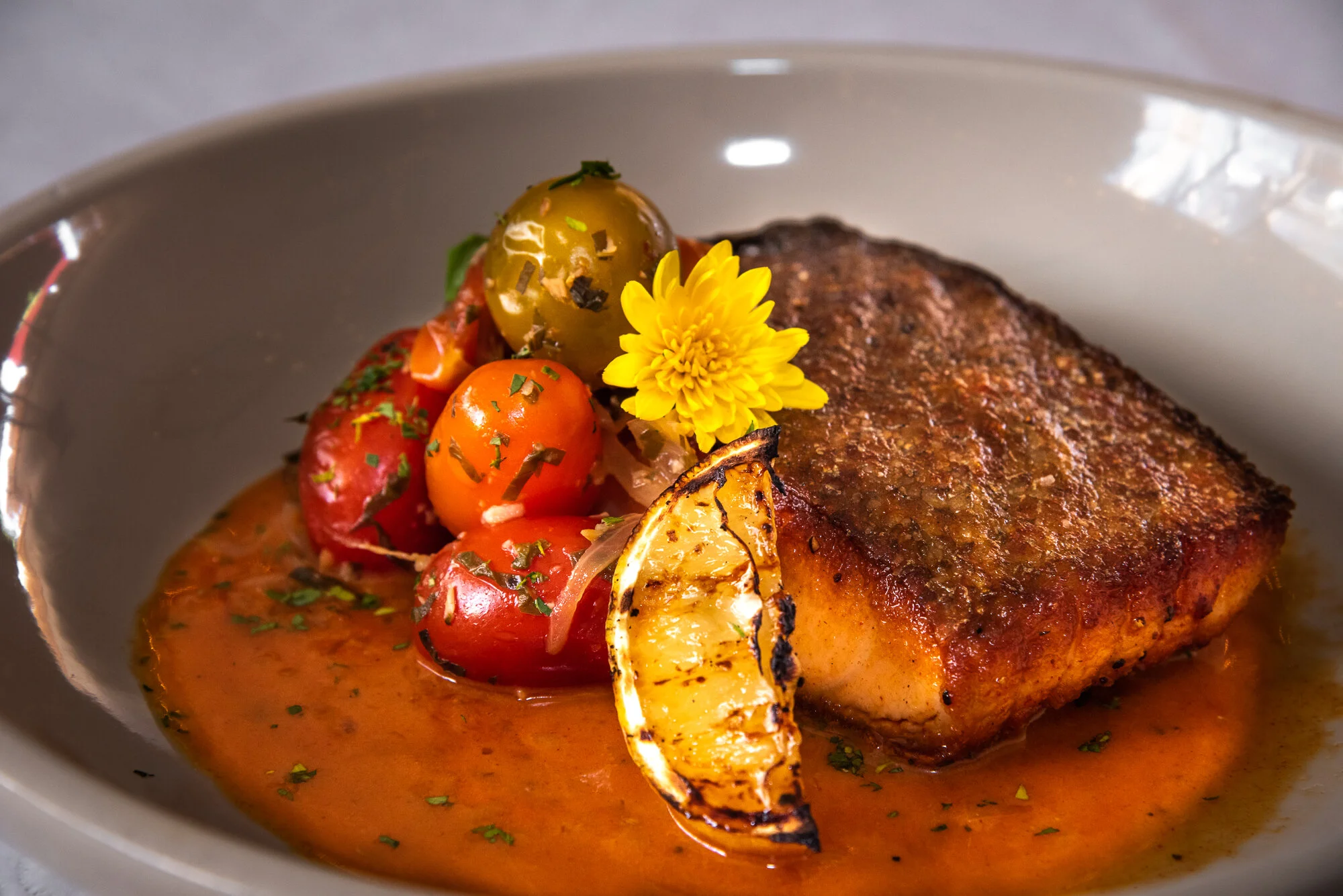 salmonplate_website-1.jpg