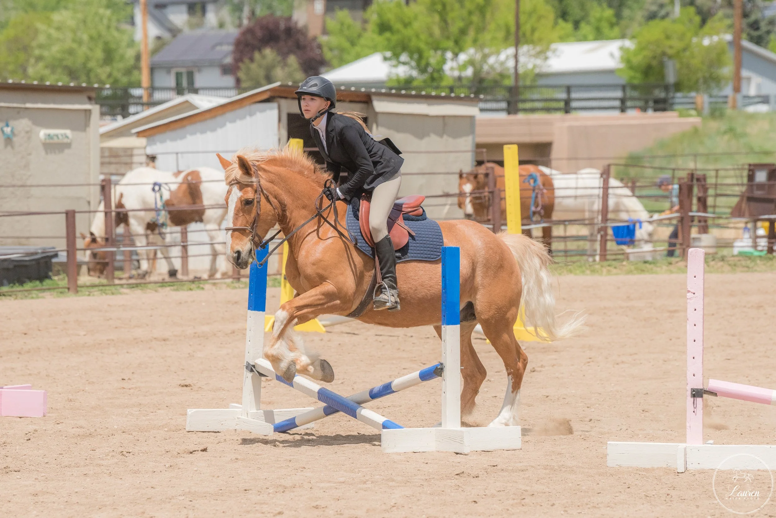 bibbercreekshow_laurenmajorphoto-363.jpg