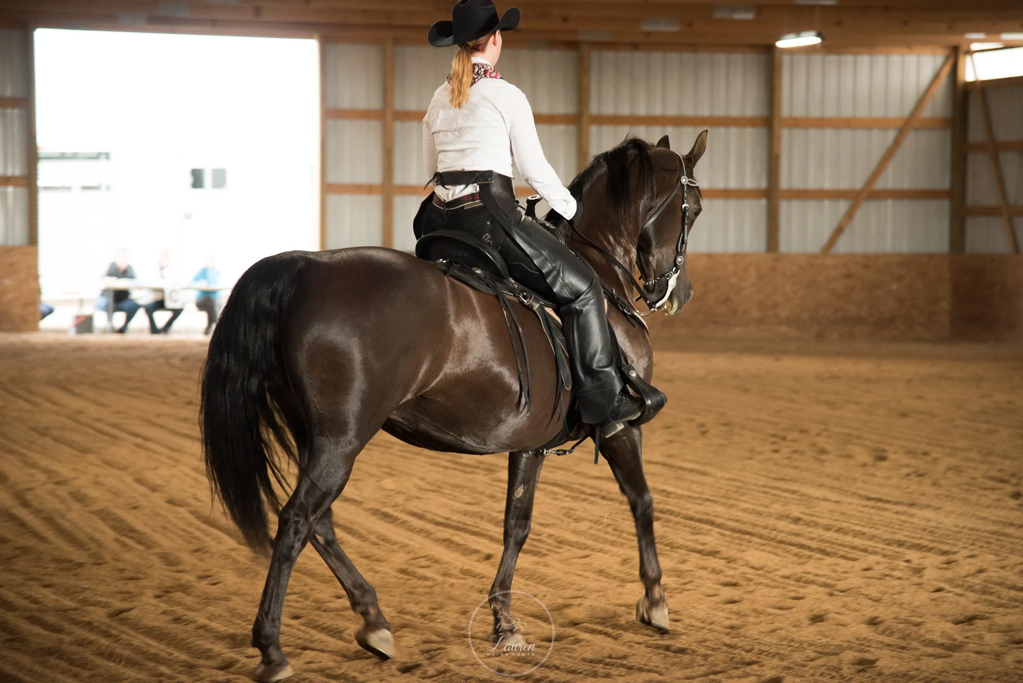 workingeq-laurenmajorphoto-1.jpg