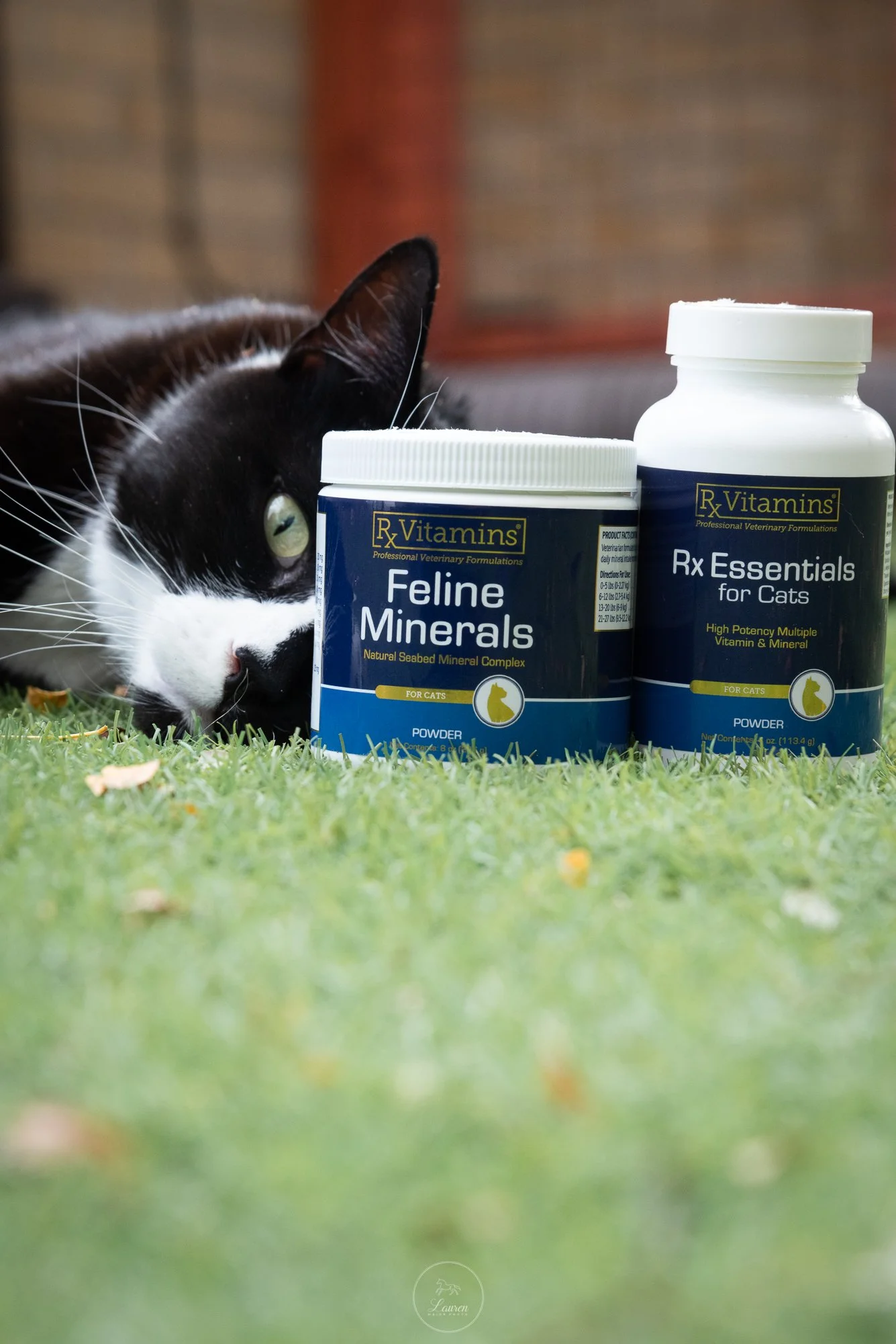 milorxvitamins-laurenmajorphoto-1.jpg