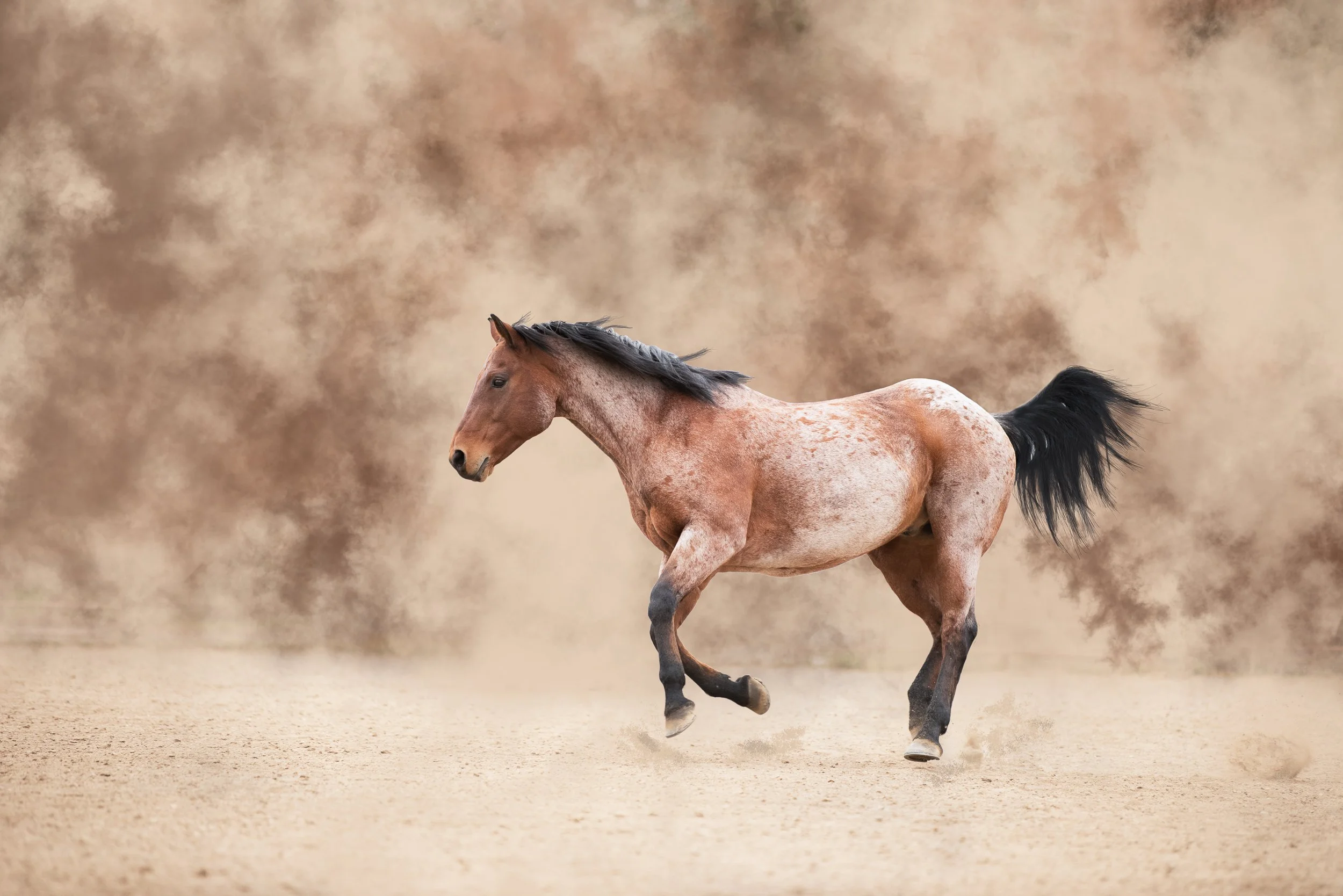 stephanie&rip-fineart-run_laurenmajorphoto-1.jpg