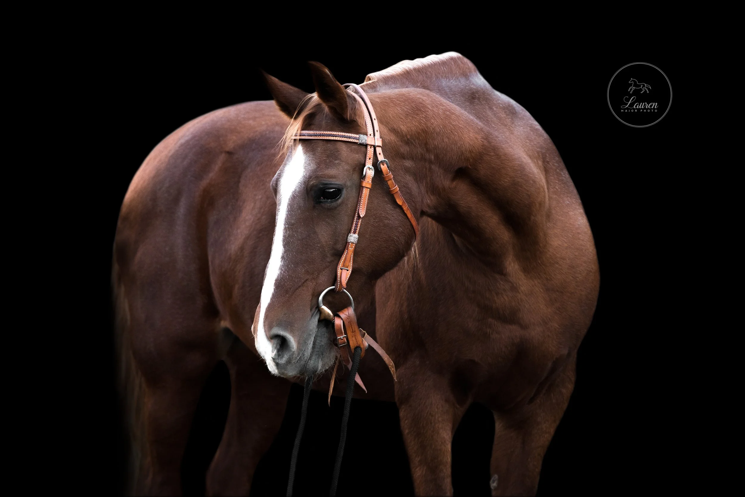 laurens2-website_laurenmajorphoto-1.jpg