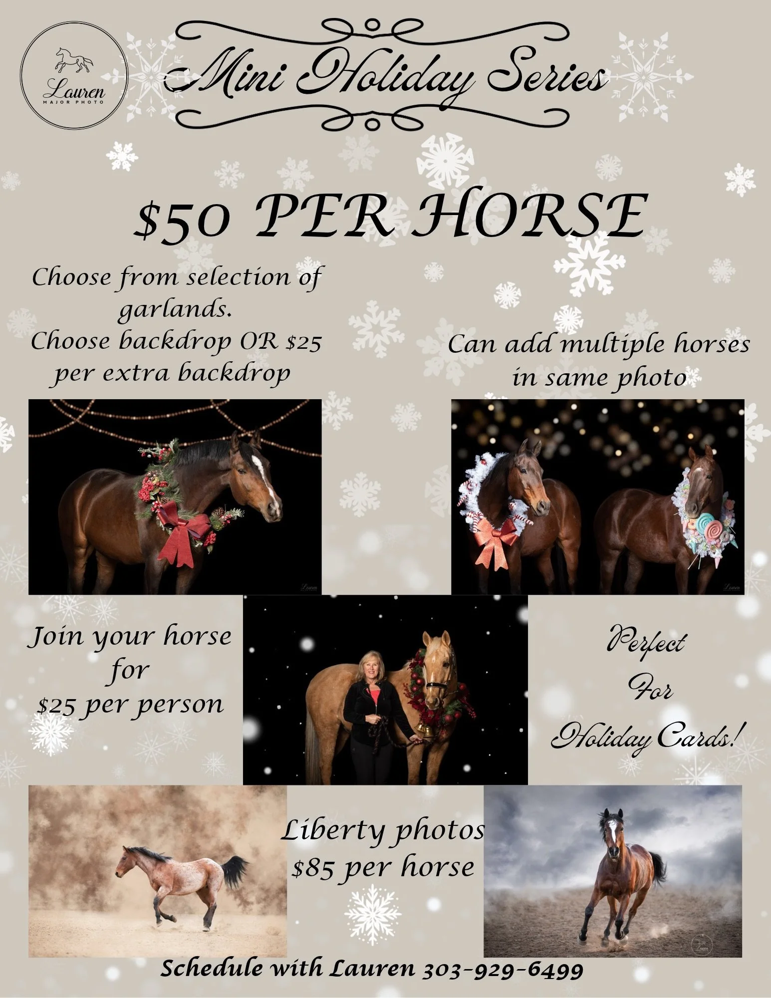 Example Canva Flyer 