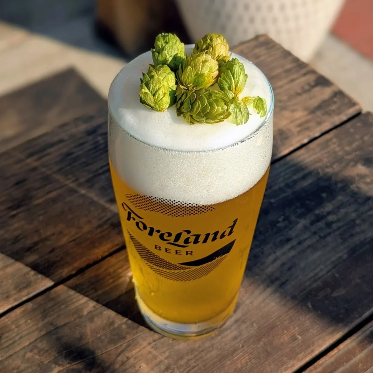 Fresh Hop season is exciting, interesting, and also exhausting! Last week was a blur of packing as much fresh Strata and Simcoe into beers as the schedule would allow. They say it takes a village and we are so thankful for teammates new and old for s