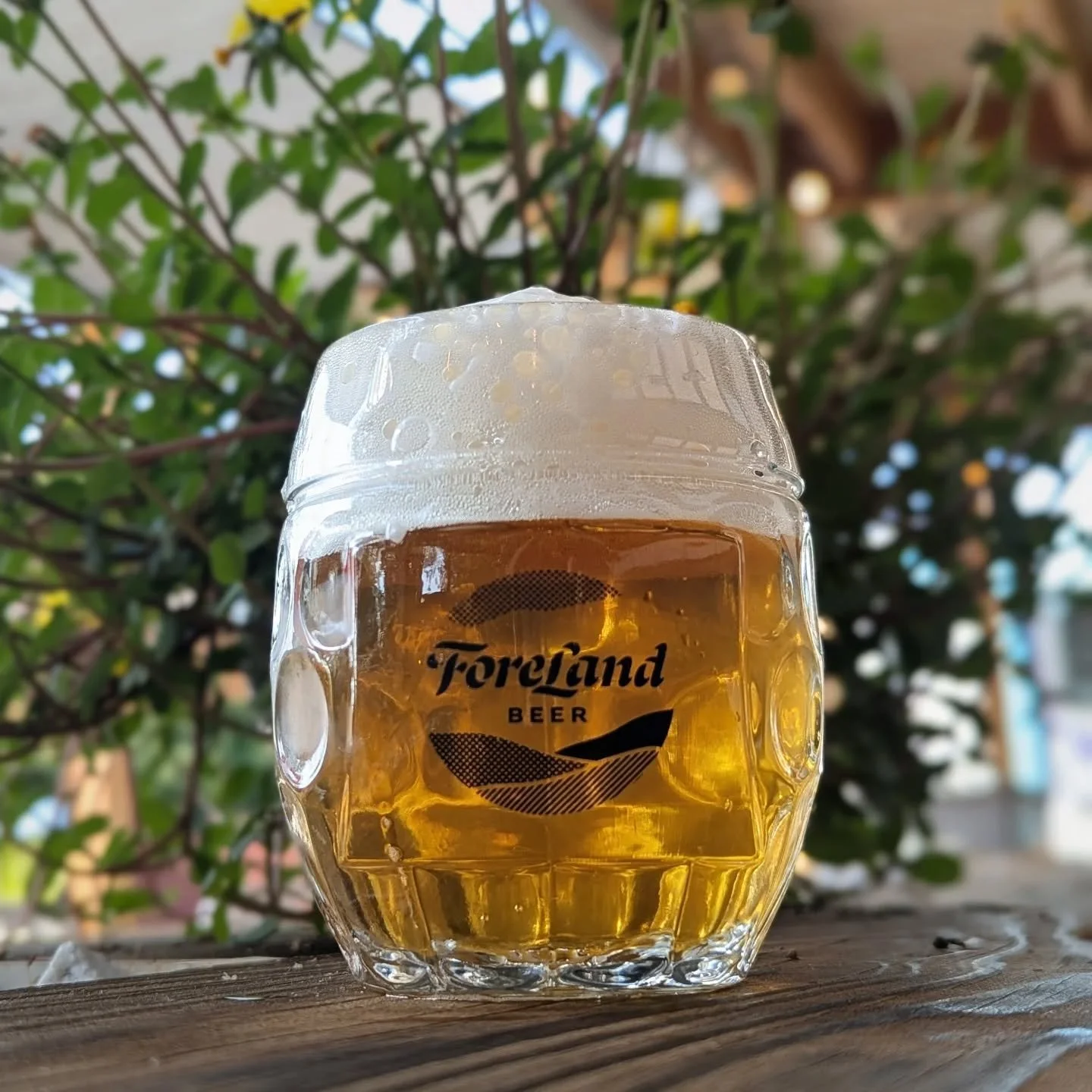 Now back to our regular scheduled programming. Open 4-8. Come by for a pour of Arc Spectrum Festbier out on the patio.