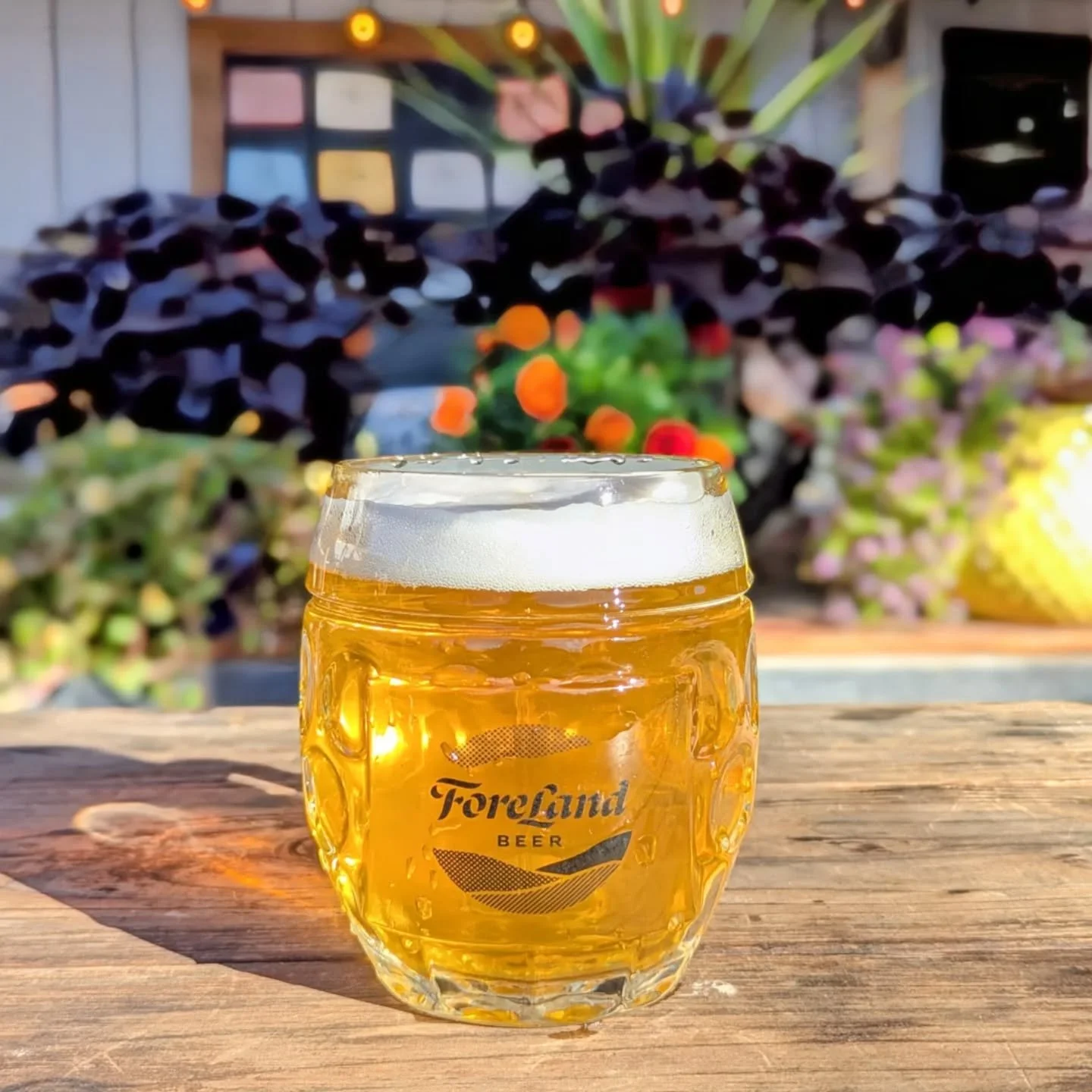 We're not trying to tell you what to do....but an Arc Spectrum Festbier out on the patio on this beautiful October day sure does sound nice doesn't it? Open 4-8. Happy Hour until 5. Monday Night Football on the big screens. 🍻